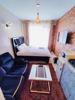 Elegant studio apartment